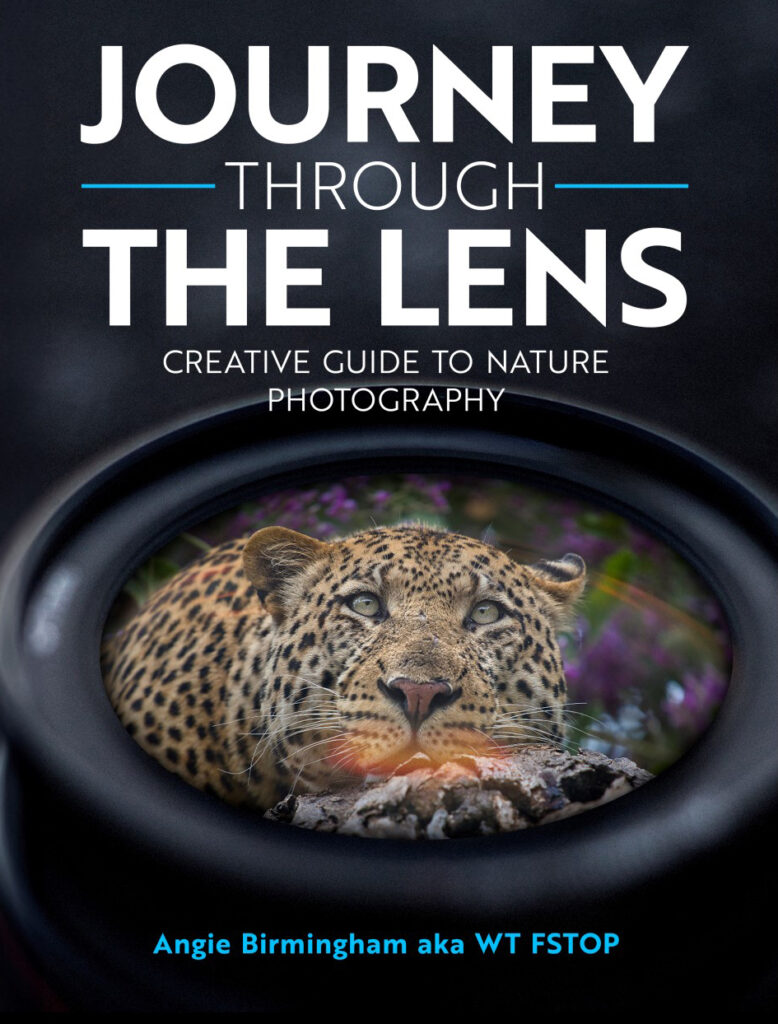 Angie Birmingham Book 778x1024